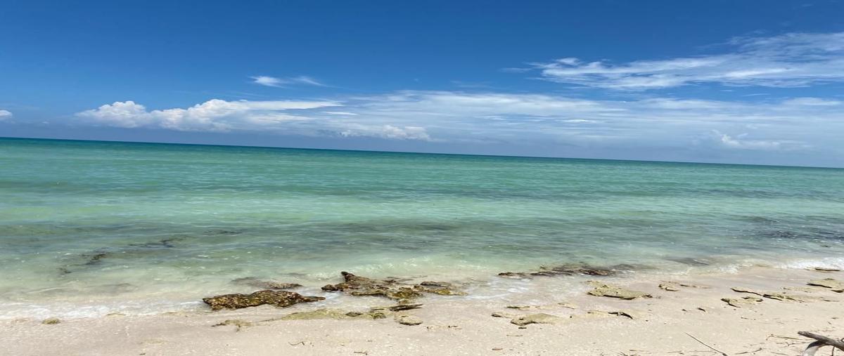 Foto de terreno habitacional en venta en 1 , centro hunucmá, hunucmá, yucatán, 27073672 No. 03