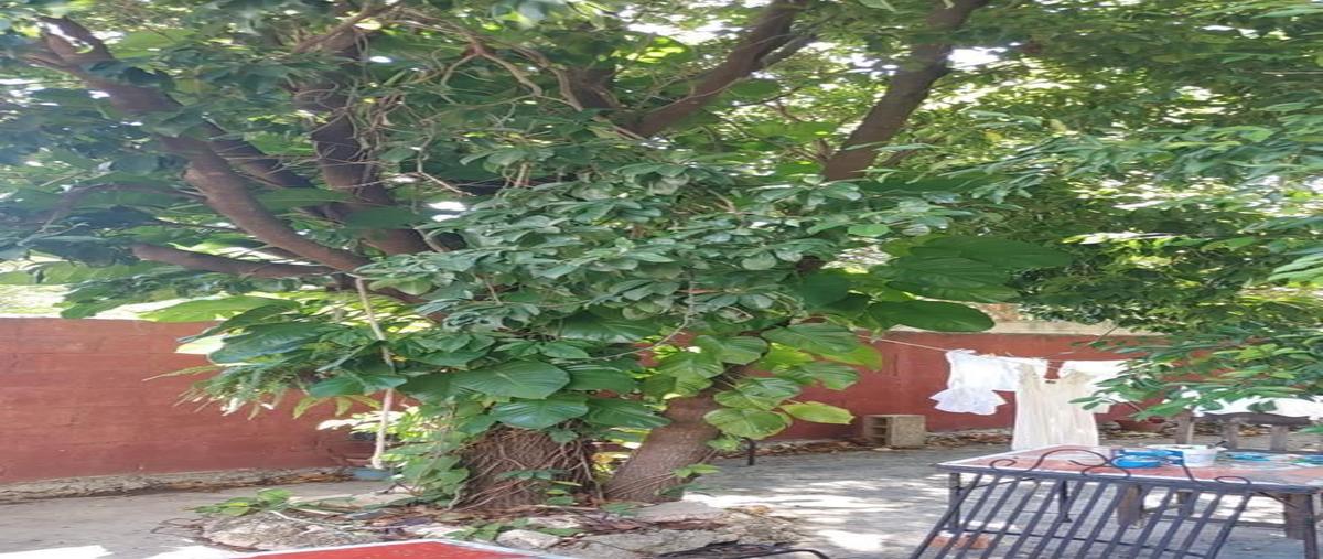 Foto de casa en 1 , centro sct yucatán, mérida, yucatán, 0 foto 03 Foto de casa en venta en 1 , centro sct yucatán, mérida, yucatán, 0 No. 03