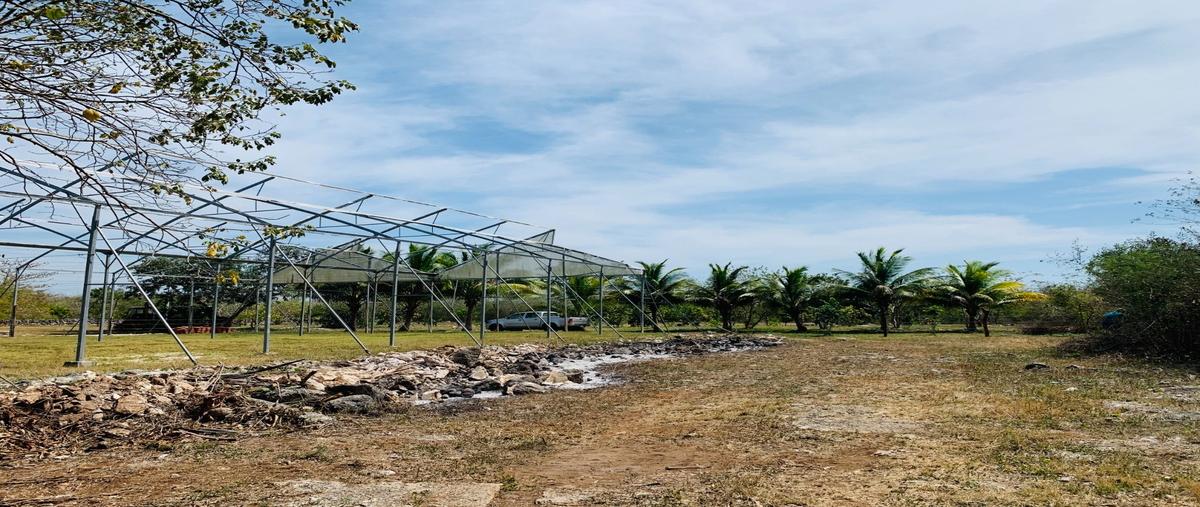 Foto de rancho en venta en 1 , chabihau, yobaín, yucatán, 0 No. 03