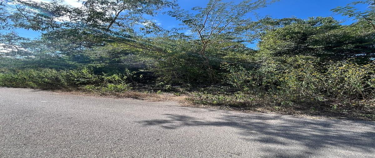 Foto de terreno habitacional en venta en 1 , chablekal, mérida, yucatán, 30667910 No. 03