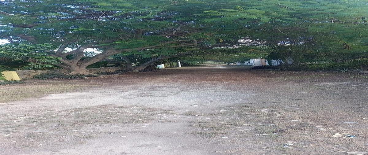 Foto de terreno habitacional en venta en 1 , chablekal, mérida, yucatán, 0 No. 03