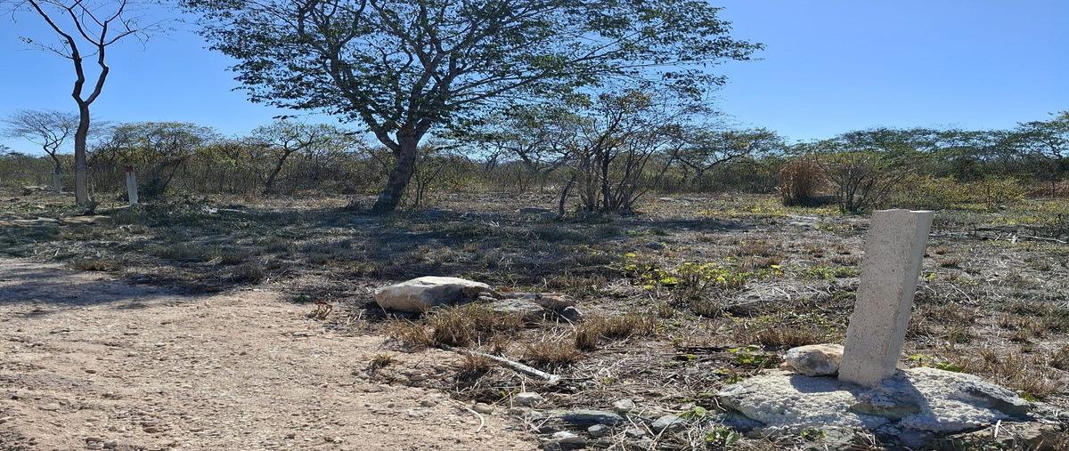Foto de terreno habitacional en venta en 1 , chablekal, mérida, yucatán, 0 No. 04
