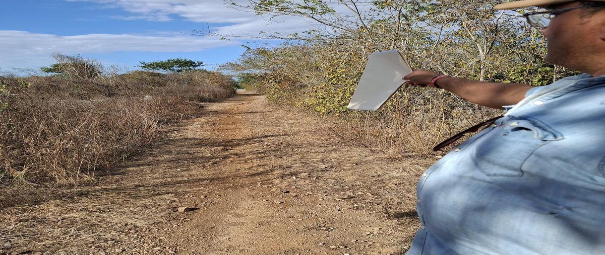 Foto de terreno habitacional en venta en 1 , chablekal, mérida, yucatán, 0 No. 03