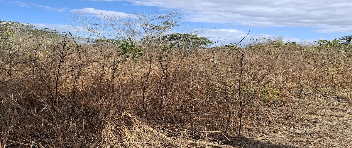 Foto de terreno habitacional en venta en 1 , chablekal, mérida, yucatán, 0 No. 04