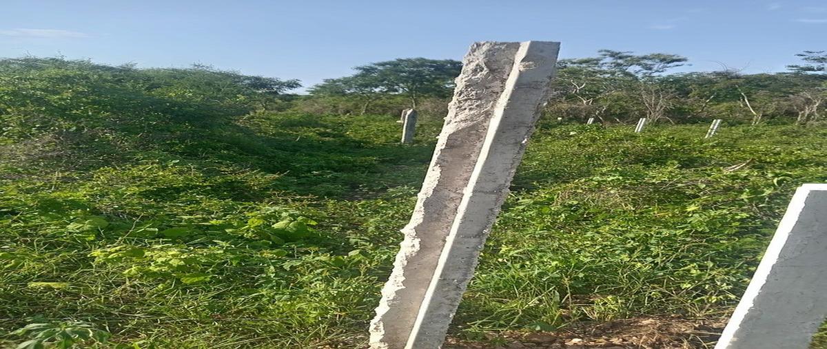 Foto de terreno habitacional en venta en 1 , chablekal, mérida, yucatán, 0 No. 04