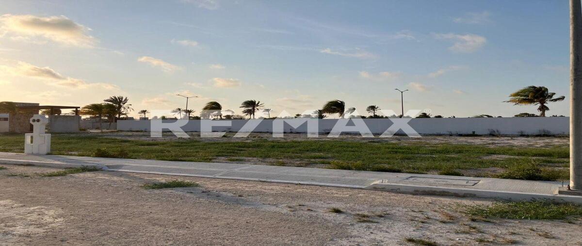 Foto de terreno habitacional en venta en 1 , chelem, progreso, yucatán, 0 No. 03