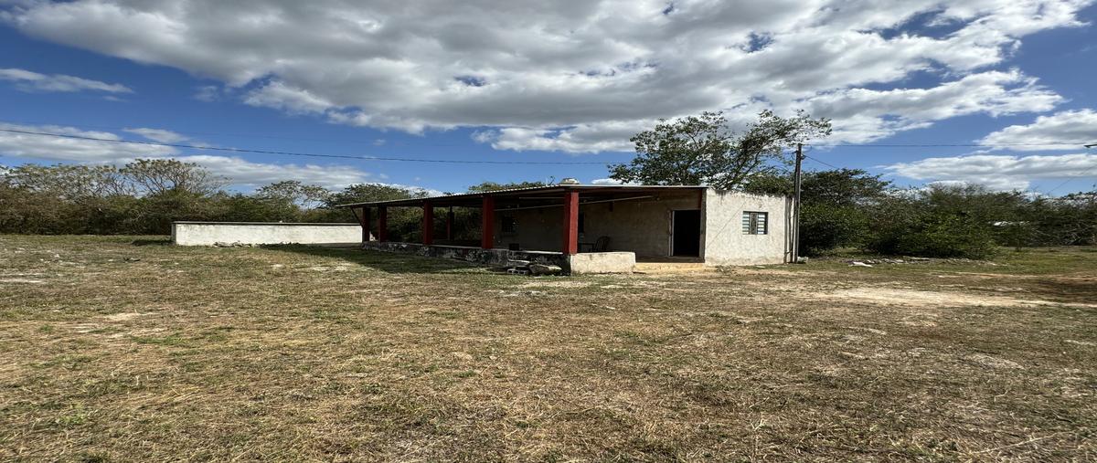 Foto de rancho en 1 , chenche de las torres, temax, yucatán, 27434955 foto 01 Foto de rancho en venta en 1 , chenche de las torres, temax, yucatán, 27434955 No. 01