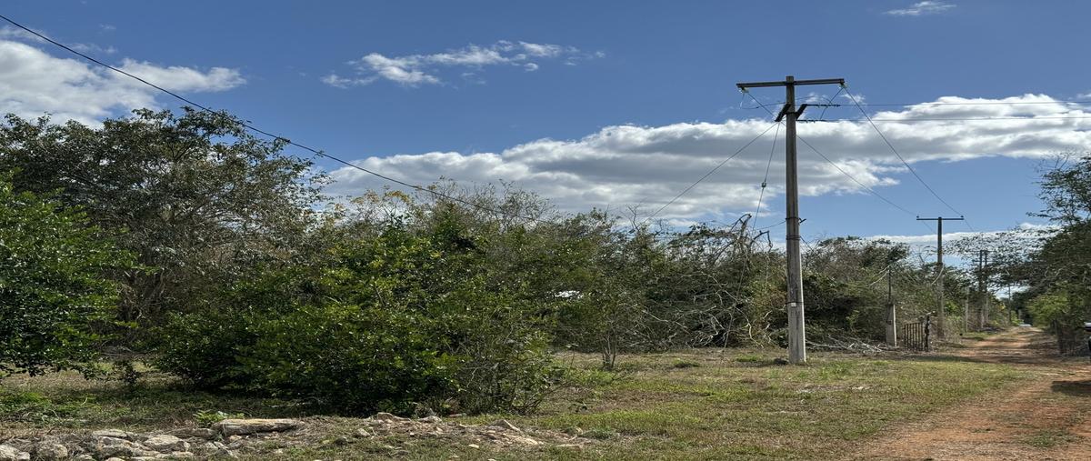 Foto de rancho en 1 , chenche de las torres, temax, yucatán, 27434955 foto 03 Foto de rancho en venta en 1 , chenche de las torres, temax, yucatán, 27434955 No. 03