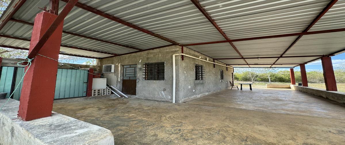 Foto de rancho en 1 , chenche de las torres, temax, yucatán, 27434955 foto 04 Foto de rancho en venta en 1 , chenche de las torres, temax, yucatán, 27434955 No. 04
