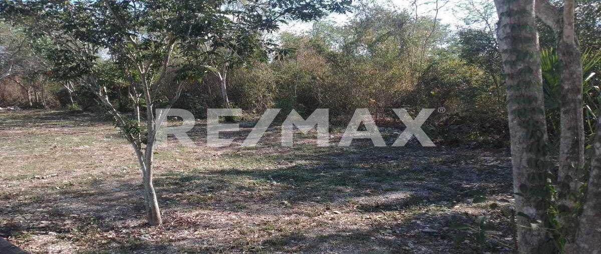 Foto de terreno habitacional en 1 , cheuman, mérida, yucatán, 0 foto 04 Foto de terreno habitacional en venta en 1 , cheuman, mérida, yucatán, 0 No. 04