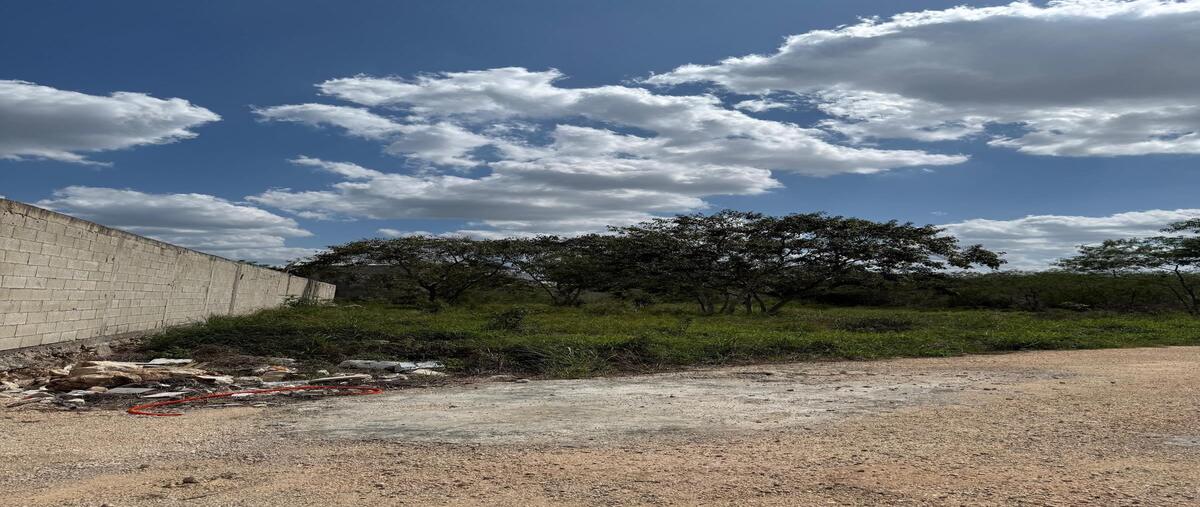Foto de terreno habitacional en venta en 1 , chichi suárez, mérida, yucatán, 0 No. 03
