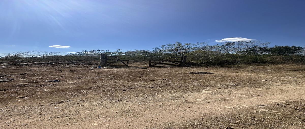 Foto de terreno habitacional en venta en 1 , chicxulub, chicxulub pueblo, yucatán, 0 No. 03