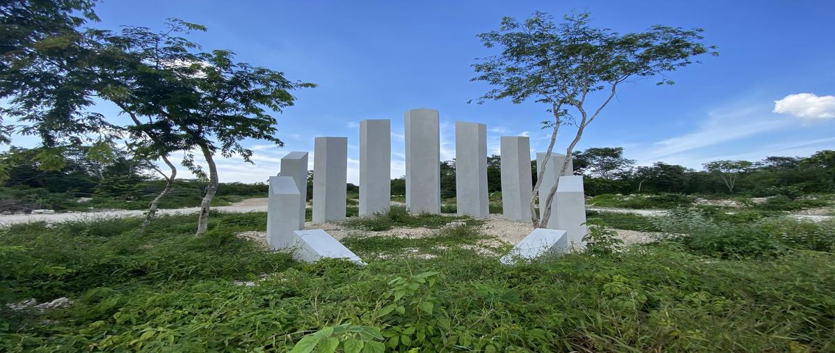 Foto de terreno habitacional en venta en 1 , chicxulub, chicxulub pueblo, yucatán, 30463699 No. 03