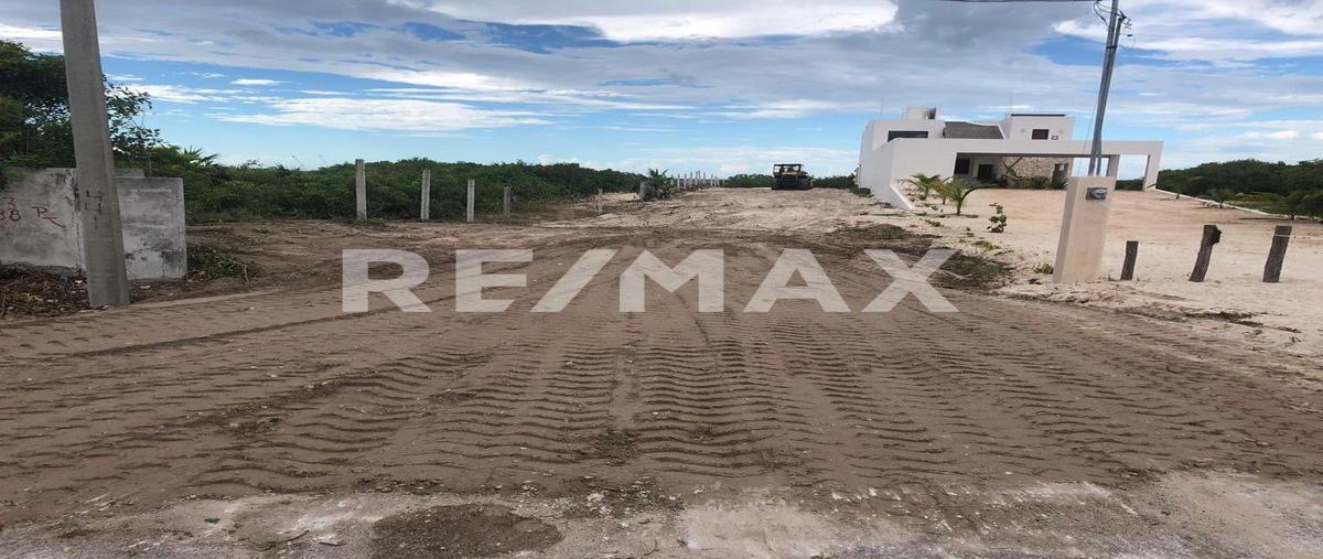 Foto de terreno habitacional en venta en 1 , chicxulub, chicxulub pueblo, yucatán, 0 No. 03