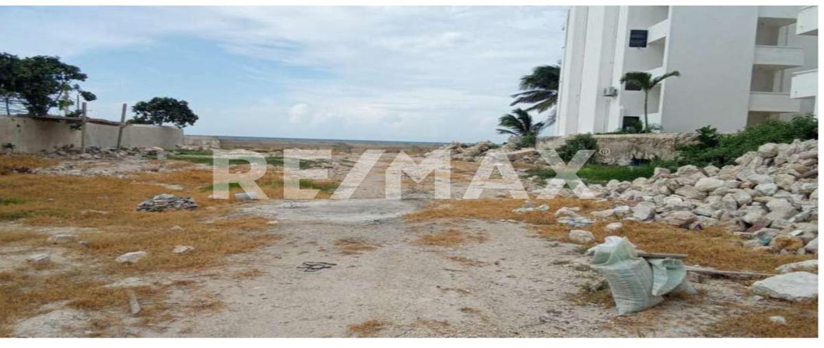 Foto de terreno comercial en 1 , chicxulub, chicxulub pueblo, yucatán, 0 foto 02 Foto de terreno comercial en renta en 1 , chicxulub, chicxulub pueblo, yucatán, 0 No. 02