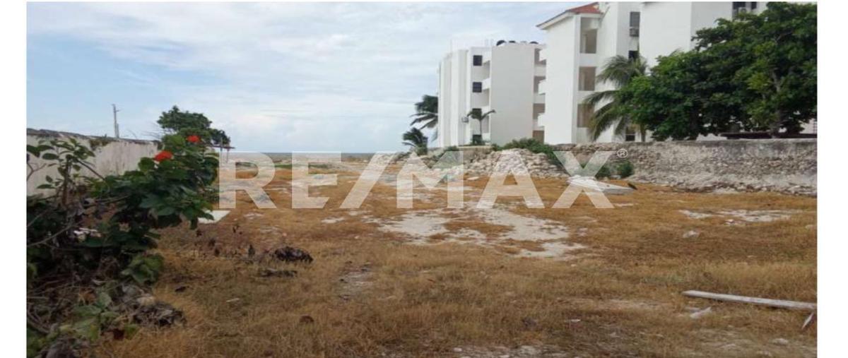 Foto de terreno comercial en 1 , chicxulub, chicxulub pueblo, yucatán, 0 foto 03 Foto de terreno comercial en renta en 1 , chicxulub, chicxulub pueblo, yucatán, 0 No. 03