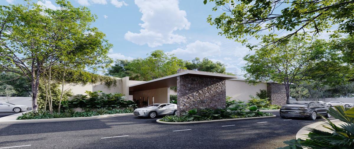 Foto de terreno habitacional en venta en 1 , chicxulub puerto, progreso, yucatán, 29692296 No. 03