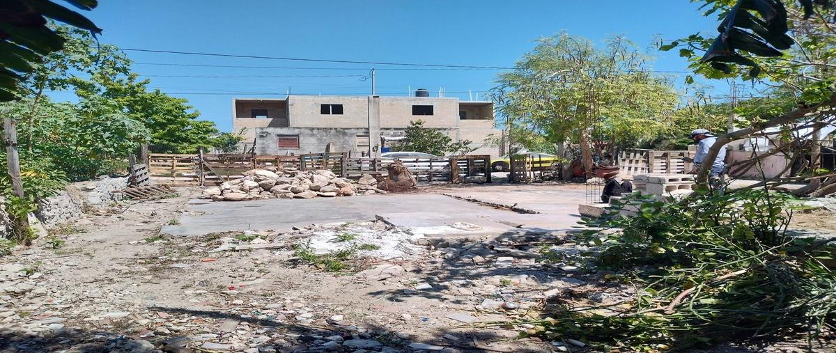 Foto de terreno habitacional en 1 , chicxulub puerto, progreso, yucatán, 29778080 foto 02 Foto de terreno habitacional en venta en 1 , chicxulub puerto, progreso, yucatán, 29778080 No. 02