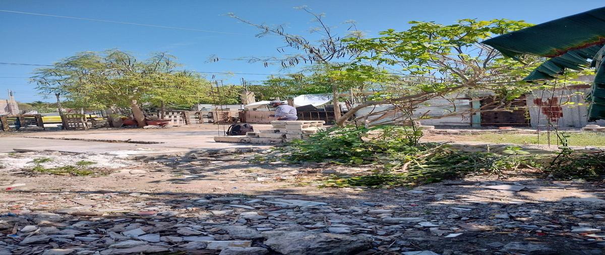 Foto de terreno habitacional en 1 , chicxulub puerto, progreso, yucatán, 29778080 foto 05 Foto de terreno habitacional en venta en 1 , chicxulub puerto, progreso, yucatán, 29778080 No. 05