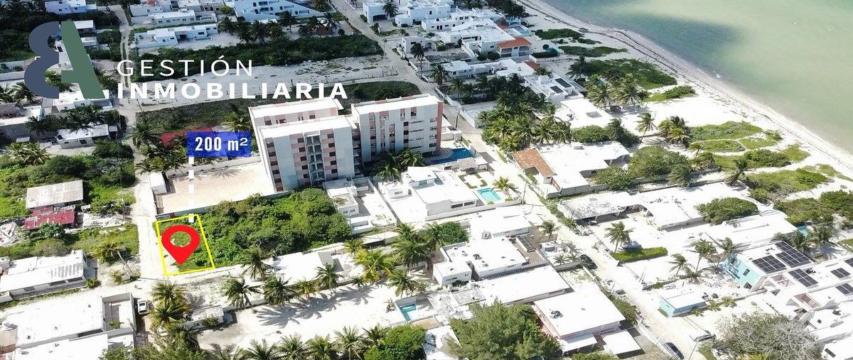 Foto de terreno habitacional en 1 , chicxulub puerto, progreso, yucatán, 0 foto 01 Foto de terreno habitacional en renta en 1 , chicxulub puerto, progreso, yucatán, 0 No. 01