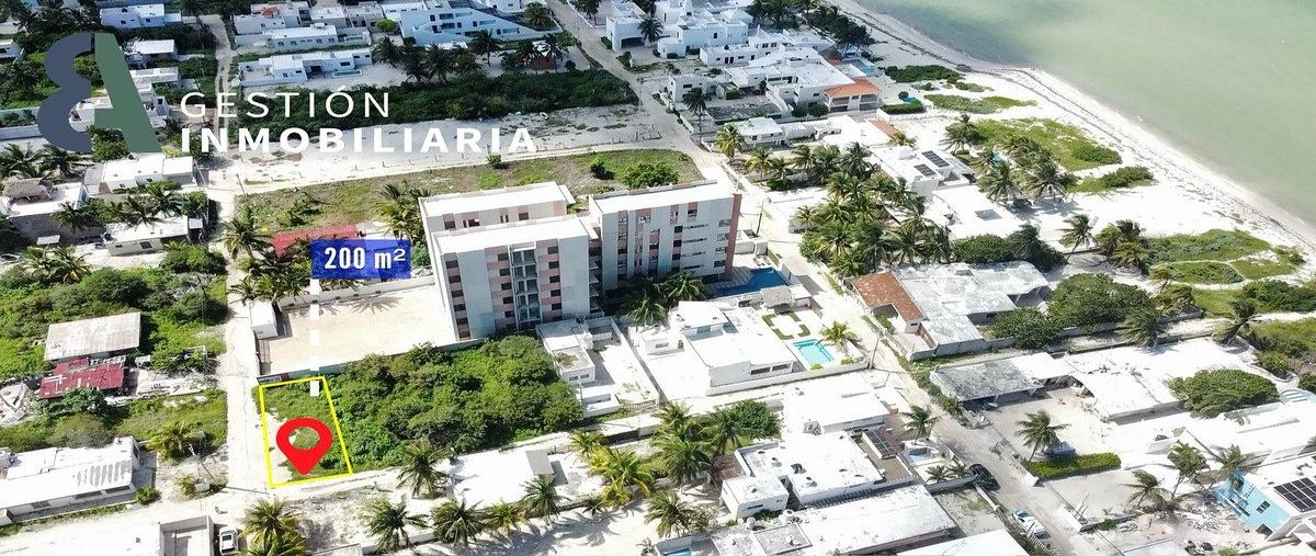 Foto de terreno habitacional en 1 , chicxulub puerto, progreso, yucatán, 0 foto 03 Foto de terreno habitacional en renta en 1 , chicxulub puerto, progreso, yucatán, 0 No. 03