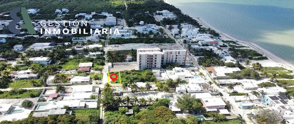 Foto de terreno habitacional en 1 , chicxulub puerto, progreso, yucatán, 0 foto 04 Foto de terreno habitacional en renta en 1 , chicxulub puerto, progreso, yucatán, 0 No. 04