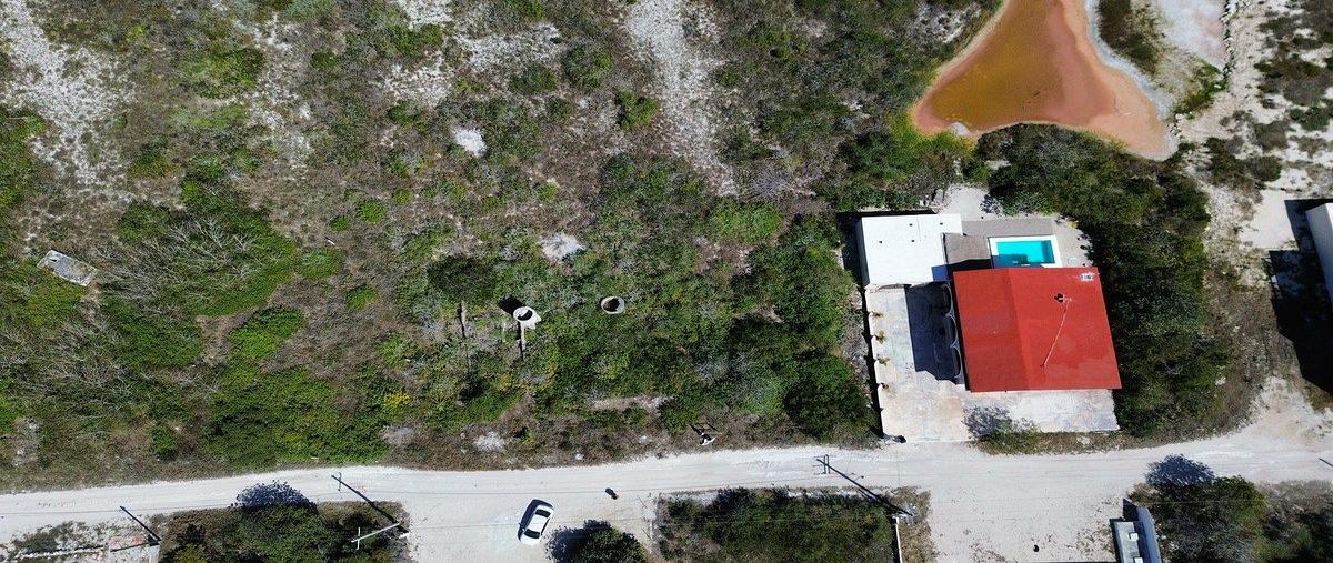 Foto de terreno habitacional en 1 , chicxulub puerto, progreso, yucatán, 0 foto 01 Foto de terreno habitacional en venta en 1 , chicxulub puerto, progreso, yucatán, 0 No. 01
