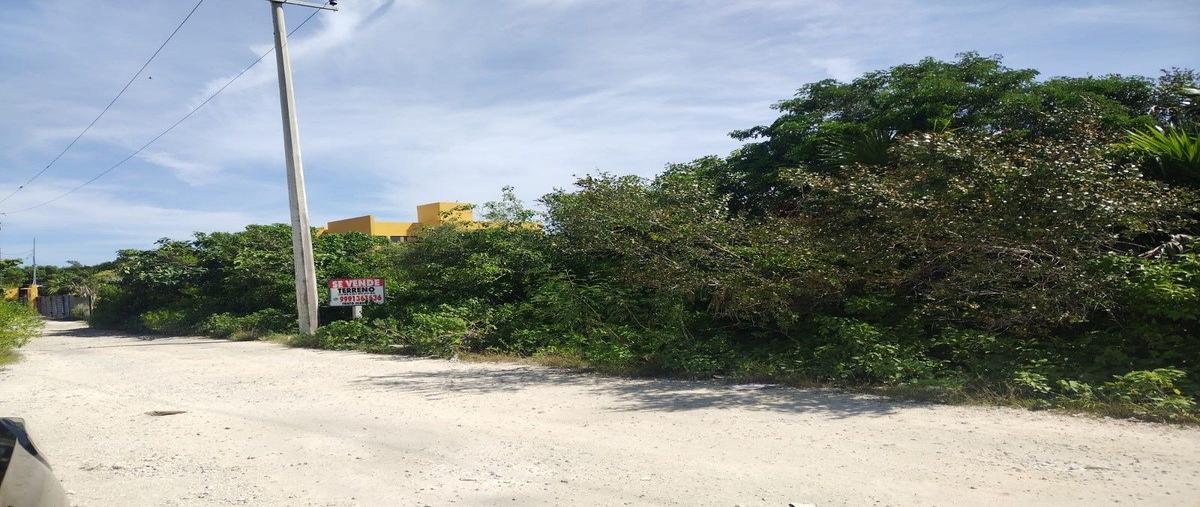 Foto de terreno habitacional en 1 , chicxulub puerto, progreso, yucatán, 0 foto 10 Foto de terreno habitacional en venta en 1 , chicxulub puerto, progreso, yucatán, 0 No. 10