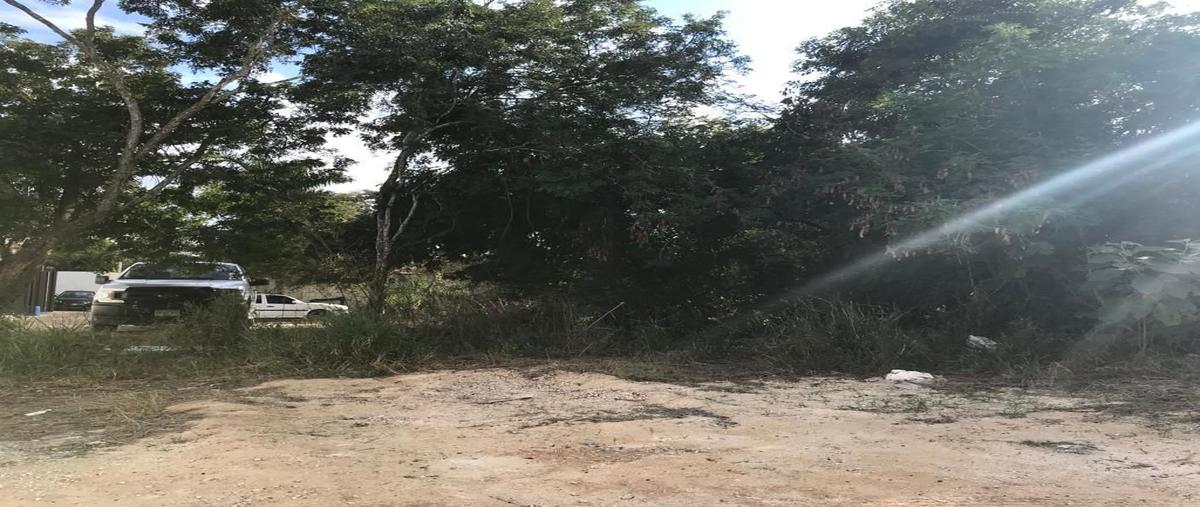 Foto de terreno habitacional en venta en 1 , cholul, mérida, yucatán, 25366420 No. 05