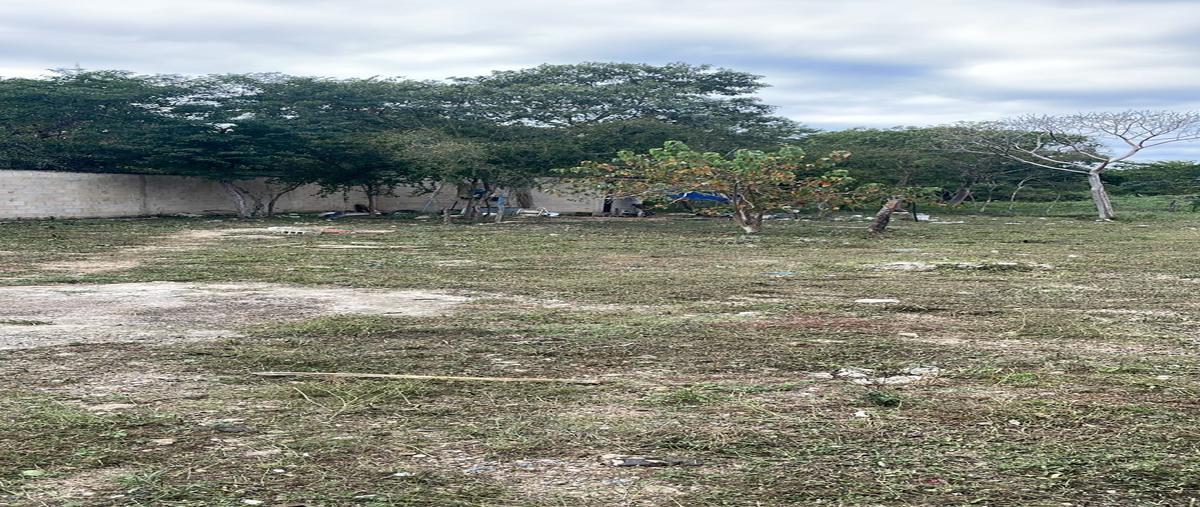 Foto de terreno habitacional en venta en 1 , cholul, mérida, yucatán, 0 No. 03