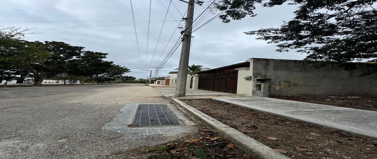 Foto de terreno habitacional en venta en 1 , cholul, mérida, yucatán, 29214289 No. 03