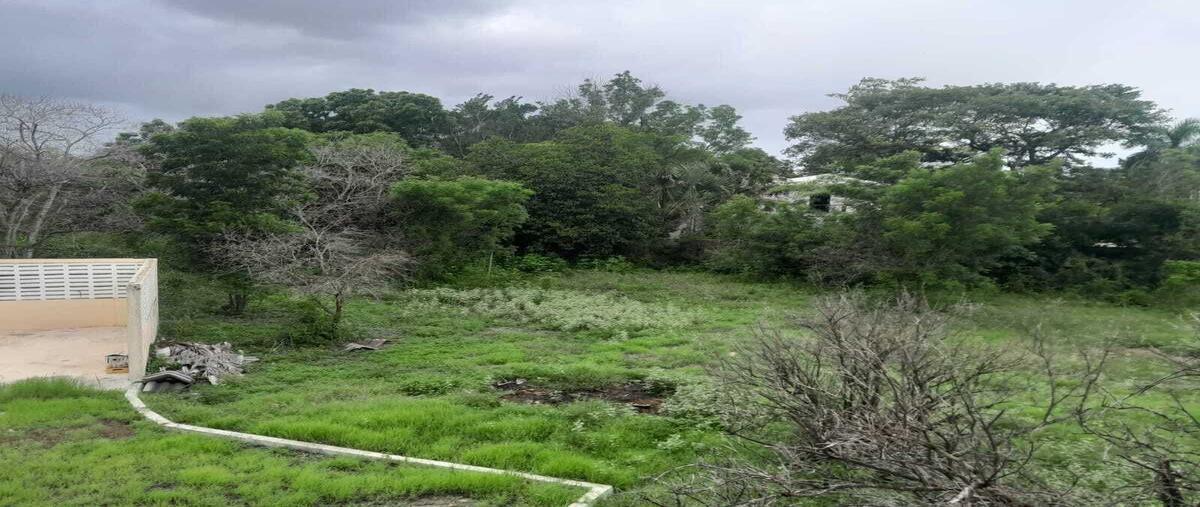Foto de terreno habitacional en 1 , cholul, mérida, yucatán, 0 foto 01 Foto de terreno habitacional en venta en 1 , cholul, mérida, yucatán, 0 No. 01