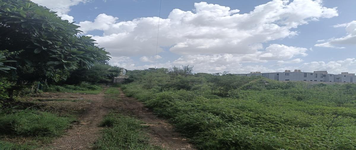 Foto de terreno habitacional en venta en 1 , cholul, mérida, yucatán, 30014816 No. 04