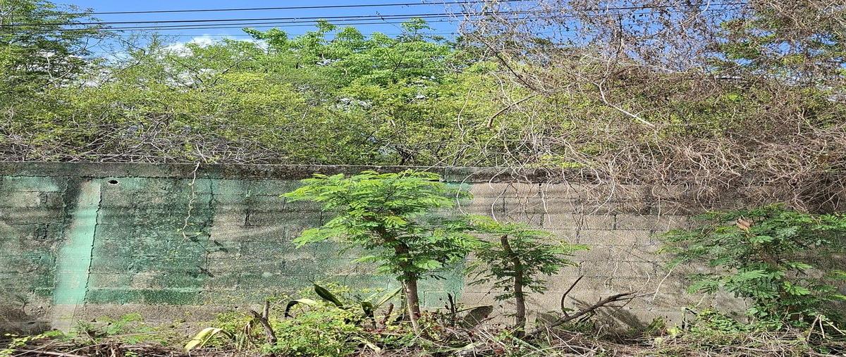 Foto de terreno habitacional en venta en 1 , cholul, mérida, yucatán, 30501778 No. 05