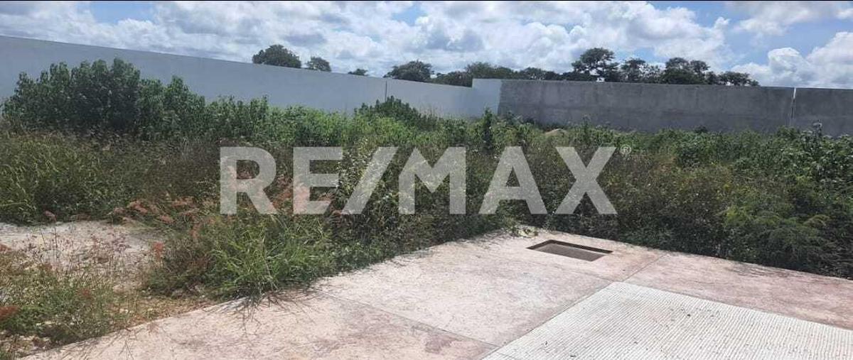 Foto de terreno habitacional en 1 , cholul, mérida, yucatán, 0 foto 05 Foto de terreno habitacional en venta en 1 , cholul, mérida, yucatán, 0 No. 05