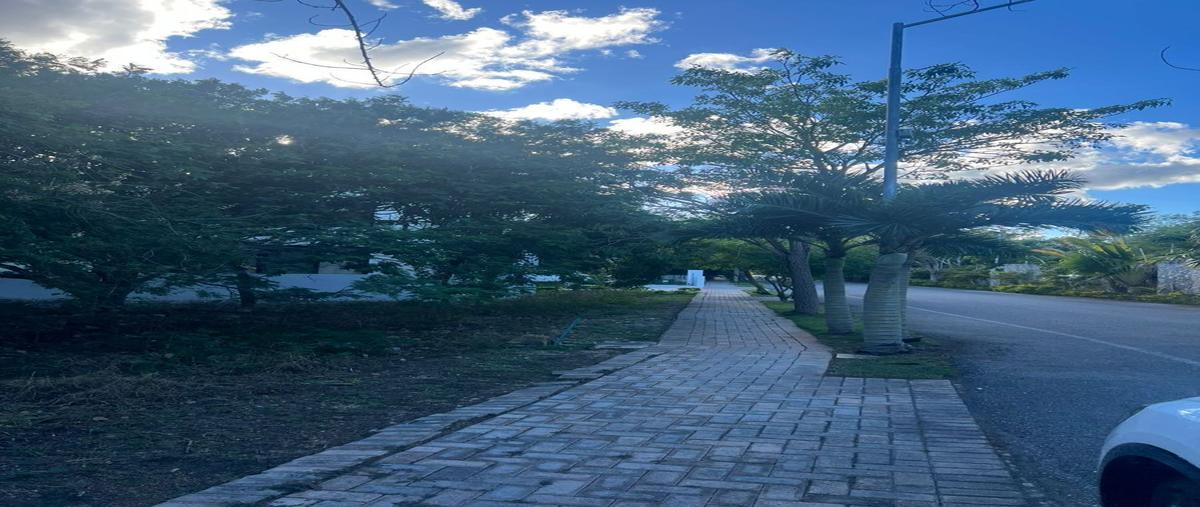 Foto de terreno habitacional en venta en 1 , cholul, mérida, yucatán, 30584318 No. 03