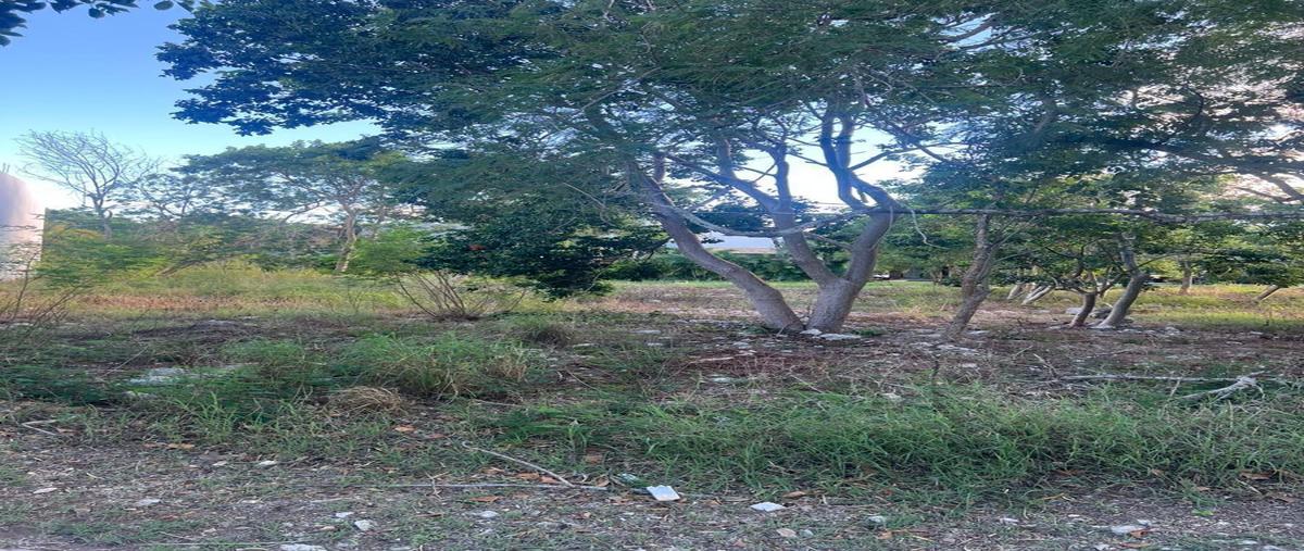 Foto de terreno habitacional en venta en 1 , cholul, mérida, yucatán, 30584318 No. 04