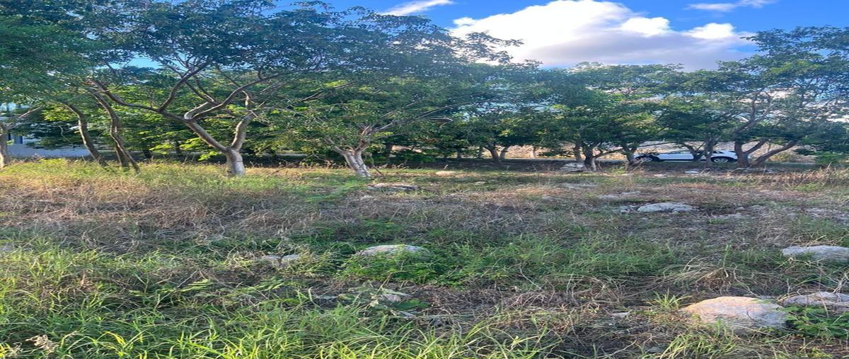 Foto de terreno habitacional en venta en 1 , cholul, mérida, yucatán, 30584318 No. 05