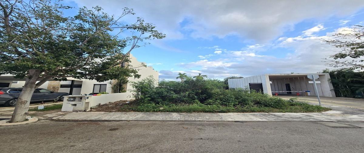 Foto de terreno habitacional en 1 , cholul, mérida, yucatán, 0 foto 02 Foto de terreno habitacional en venta en 1 , cholul, mérida, yucatán, 0 No. 02