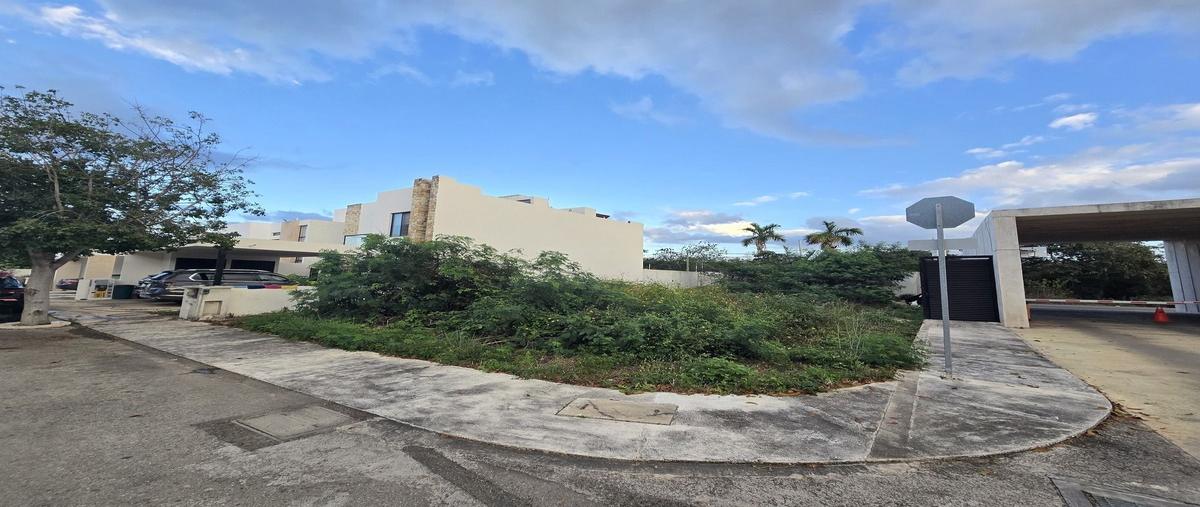 Foto de terreno habitacional en 1 , cholul, mérida, yucatán, 0 foto 03 Foto de terreno habitacional en venta en 1 , cholul, mérida, yucatán, 0 No. 03