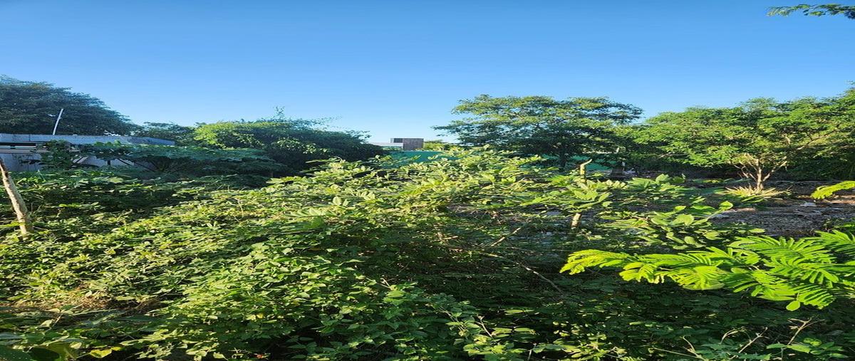 Foto de terreno habitacional en renta en 1 , cholul, mérida, yucatán, 0 No. 05