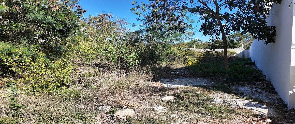 Foto de terreno habitacional en venta en 1 , cholul, mérida, yucatán, 0 No. 08