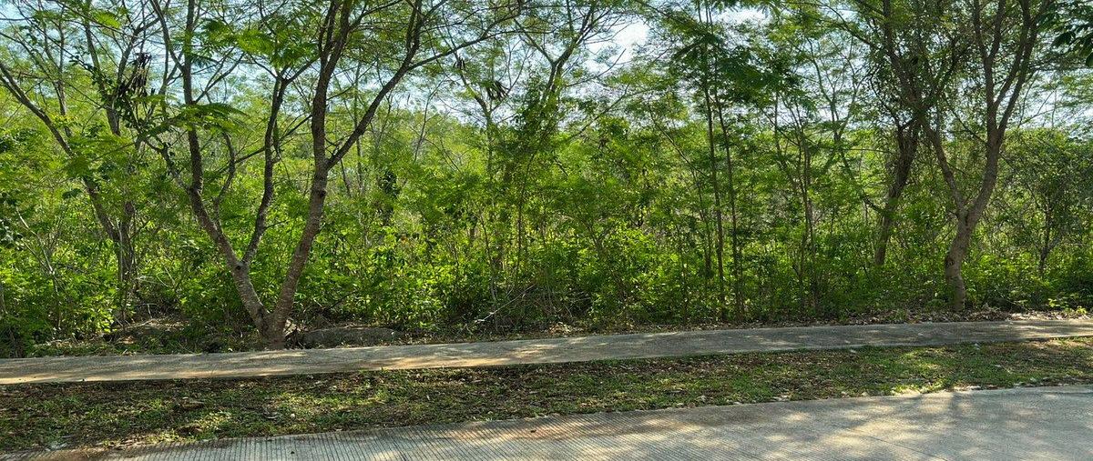 Foto de terreno habitacional en venta en 1 , cholul, mérida, yucatán, 0 No. 03