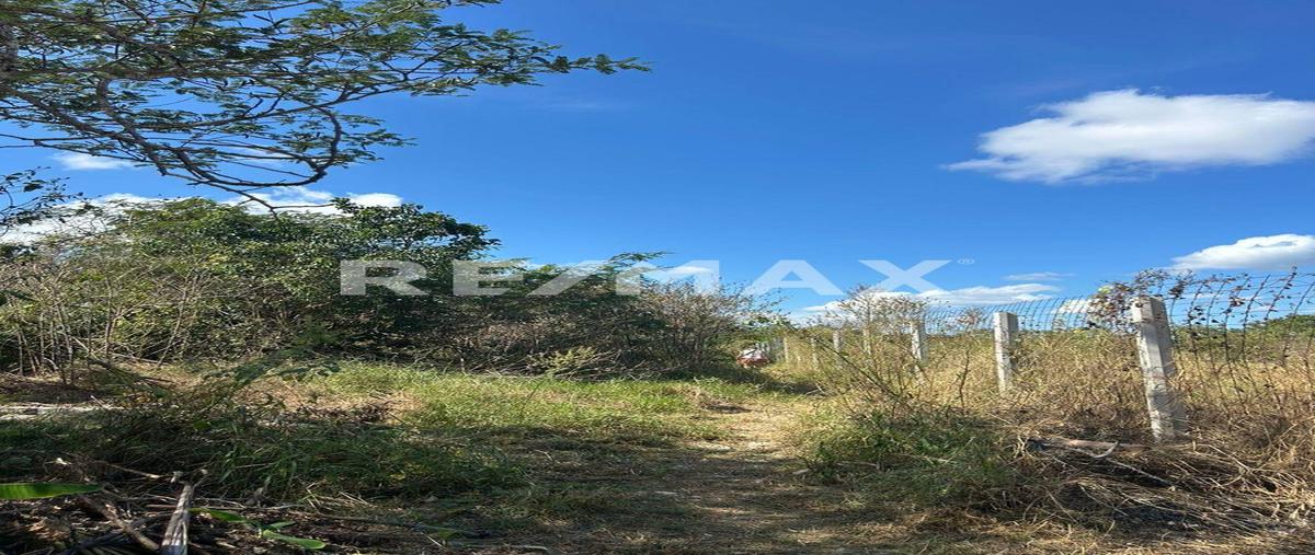 Foto de terreno habitacional en venta en 1 , club de golf la ceiba, mérida, yucatán, 0 No. 04
