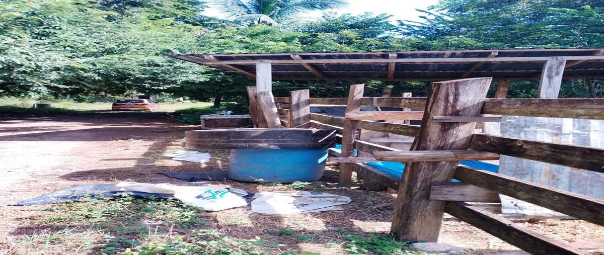 Foto de terreno habitacional en venta en 1 , colonia yucatán, tizimín, yucatán, 0 No. 05