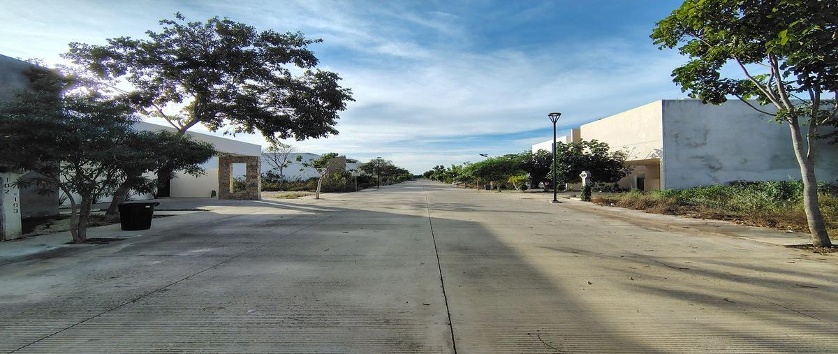 Foto de terreno habitacional en venta en 1 , conkal, conkal, yucatán, 22086404 No. 03