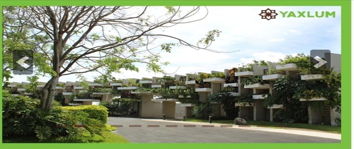 Foto de terreno habitacional en venta en 1 , conkal, conkal, yucatán, 30540872 No. 05