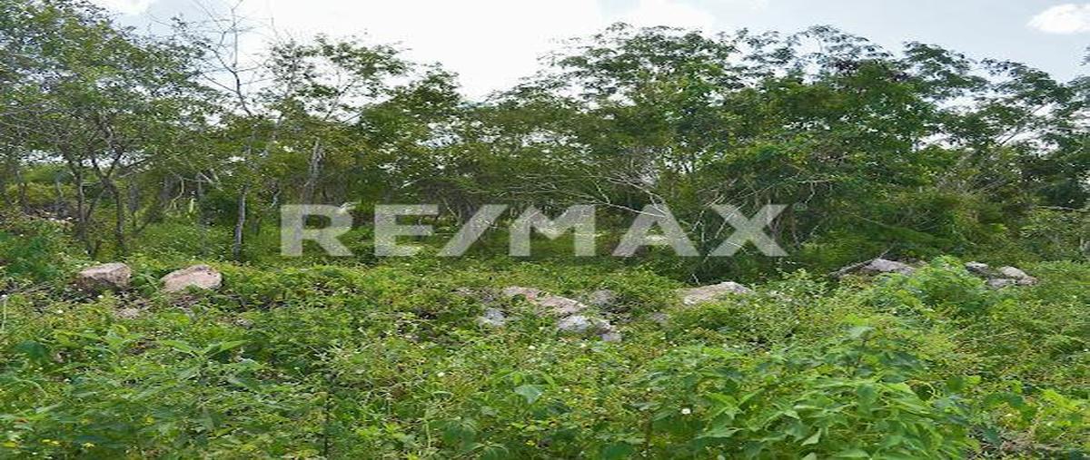 Foto de terreno habitacional en venta en 1 , conkal, conkal, yucatán, 0 No. 04