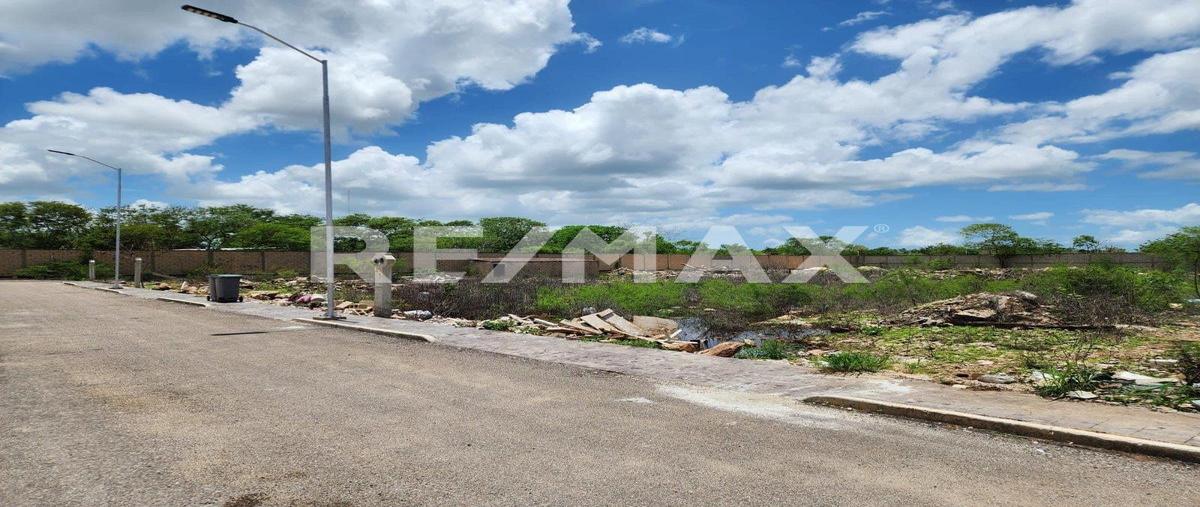 Foto de terreno habitacional en venta en 1 , conkal, conkal, yucatán, 0 No. 03