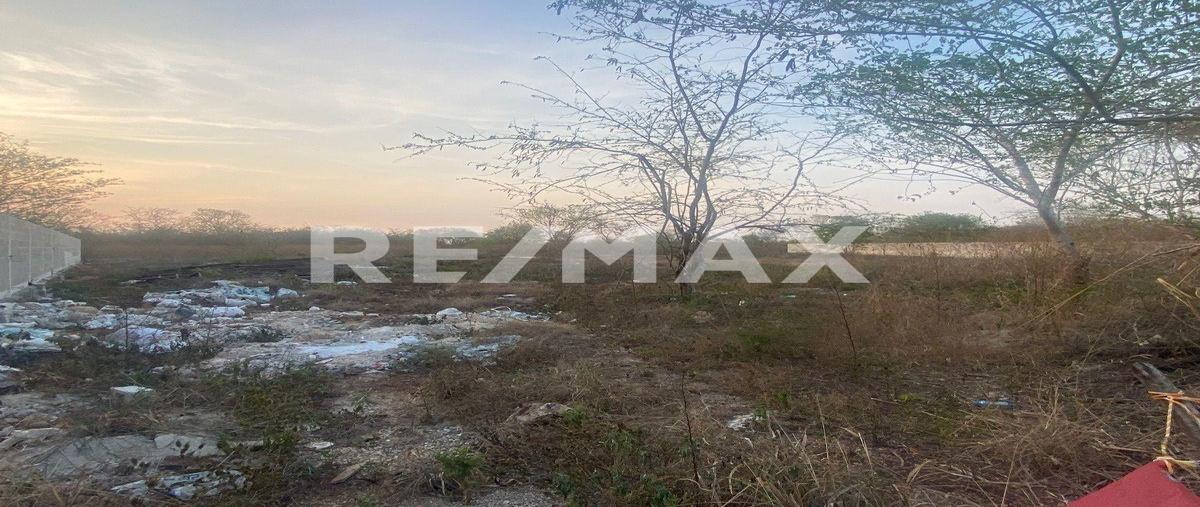 Foto de terreno habitacional en venta en 1 , conkal, conkal, yucatán, 0 No. 04